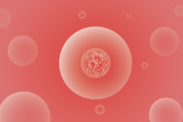 CNV,拷贝数变化遗传病、基因病、罕见病基因解码，基因检测，基因筛查与分子诊断