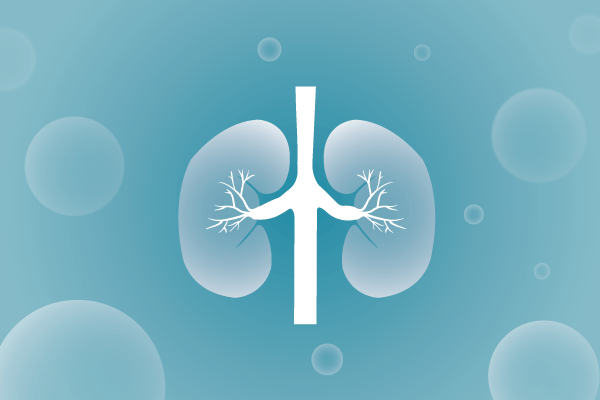 泌尿系统，肾脏，膀胱，尿病，肾不好遗传病、基因病、罕见病的基因解码，基因检测，基因筛查与分子诊断