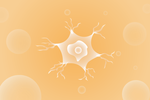 神经科肌肉系统及运动神经系统遗传病、基因病、罕见病的基因解码，基因检测，基因筛查与分子诊断