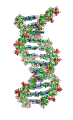 【SG亚洲胜游基因检测】眼皮肤白化病4型基因解码、<a href=http://www.dgjiehun.com/tk/jiema/cexujishu/2021/31933.html>基因检测</a>的报告有人解读吗？