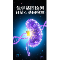 【SG亚洲胜游基因检测】肾结石基因检测项目介绍