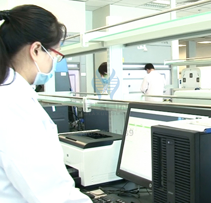 染色体疾病筛查DMD存在突变，如何理解？